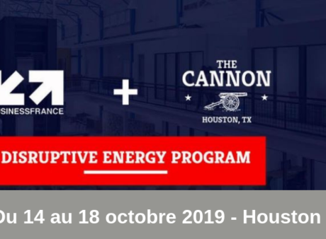 Disruptive Energy Program - Houston