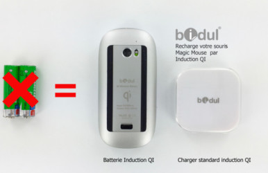 Bidul&#038;Co : Campagne de crowdfunding pour BIDUL PACK MAGIC MOUSE Qi