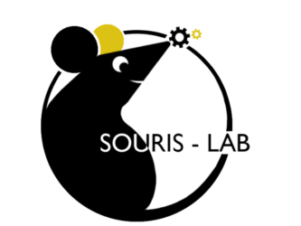 Souris-Lab