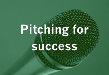 Webinar : Pitching for success