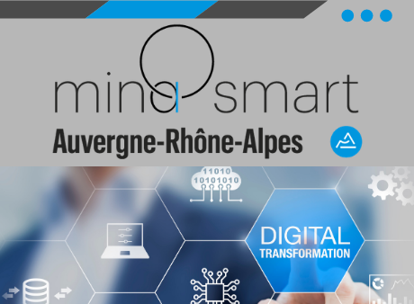 MinaSmart : le diagnostic de maturité digitale