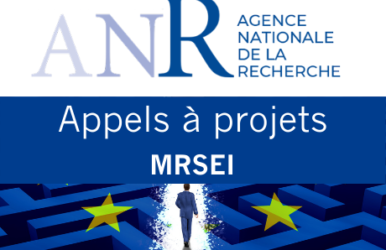 Appel à projets ANR : « Montage de Réseaux Scientifiques Européens ou Internationaux (MRSEI)