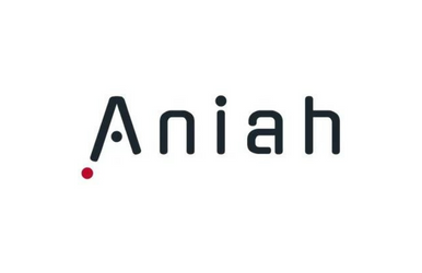 Aniah lève 6 millions d’euros pour accélérer le déploiement de ses logiciels de vérification et d’aide à la conception pour les semiconducteurs