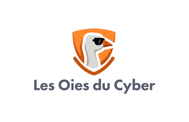 Les Oies du Cyber