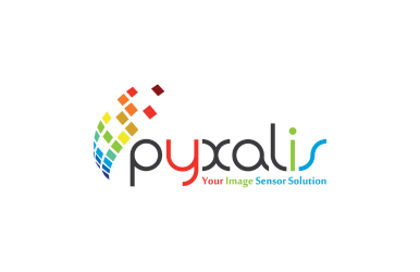 Ingénieur expert en développement numérique hard/soft et en architecture de système numérique pour capteur d’image